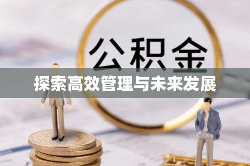 金溪探索高效管理与未来发展