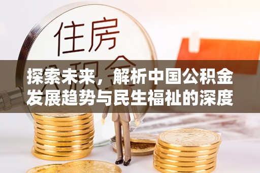 金溪探索未来，解析中国公积金发展趋势与民生福祉的深度关联