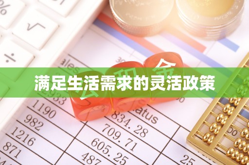 金溪满足生活需求的灵活政策
