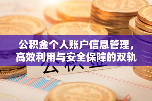 金溪公积金个人账户信息管理，高效利用与安全保障的双轨并行