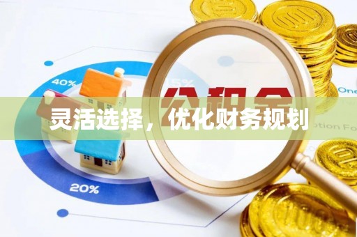 金溪灵活选择，优化财务规划