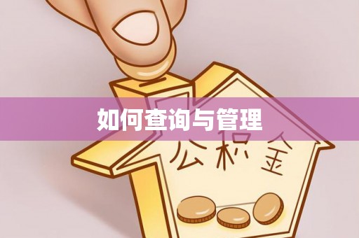 金溪如何查询与管理