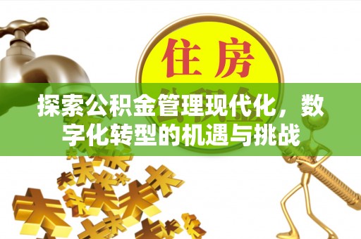 金溪探索公积金管理现代化，数字化转型的机遇与挑战