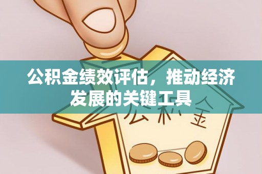 金溪公积金绩效评估，推动经济发展的关键工具
