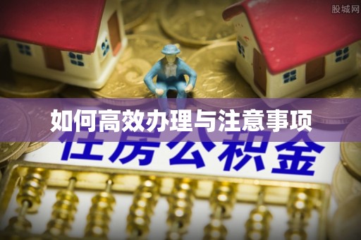 金溪如何高效办理与注意事项