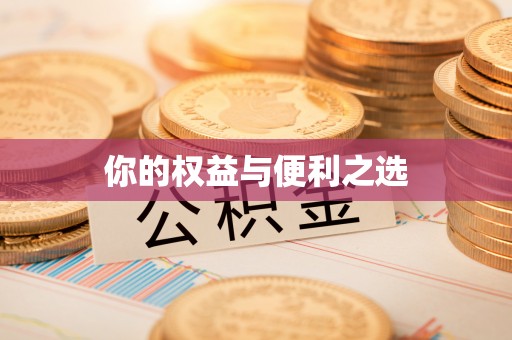 金溪你的权益与便利之选