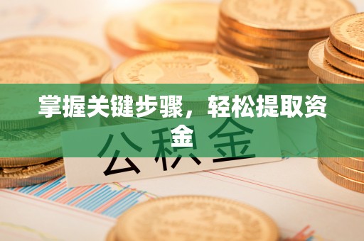 金溪掌握关键步骤，轻松提取资金