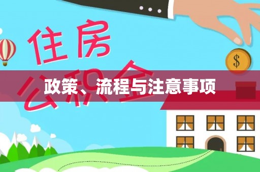 金溪政策、流程与注意事项