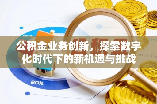 金溪公积金业务创新，探索数字化时代下的新机遇与挑战