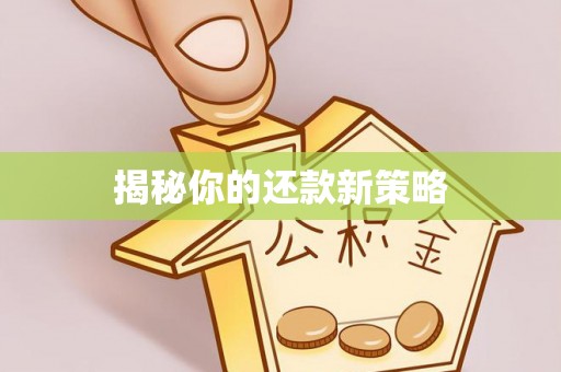 金溪揭秘你的还款新策略