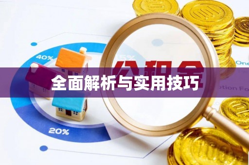 金溪全面解析与实用技巧