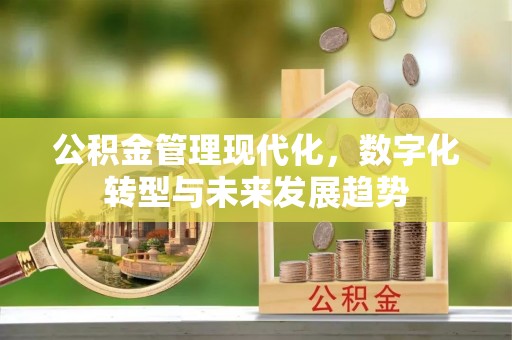金溪公积金管理现代化，数字化转型与未来发展趋势