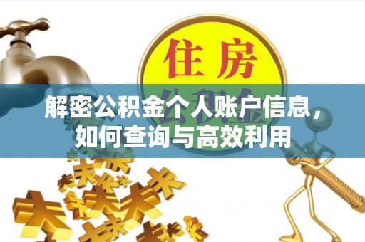 金溪解密公积金个人账户信息，如何查询与高效利用