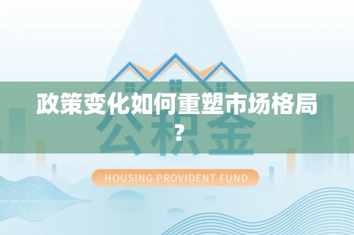 金溪政策变化如何重塑市场格局？