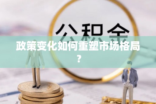 金溪政策变化如何重塑市场格局？