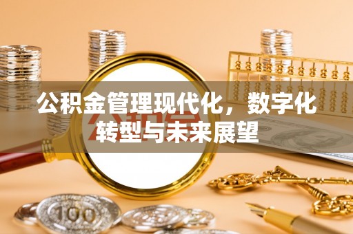 金溪公积金管理现代化，数字化转型与未来展望