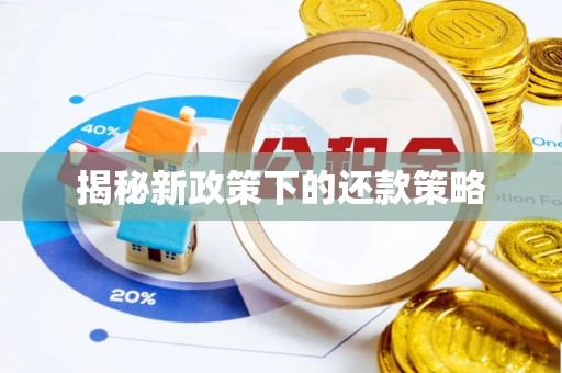 金溪揭秘新政策下的还款策略