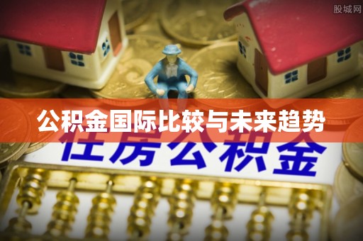 金溪公积金国际比较与未来趋势