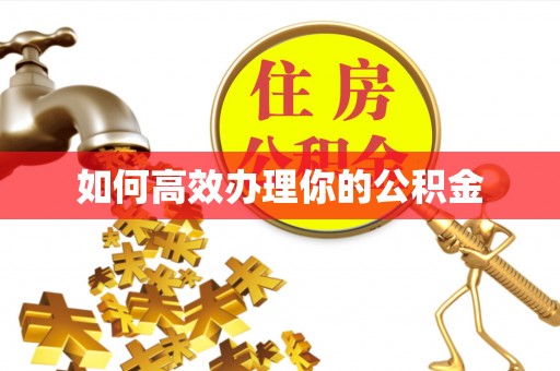 金溪如何高效办理你的公积金