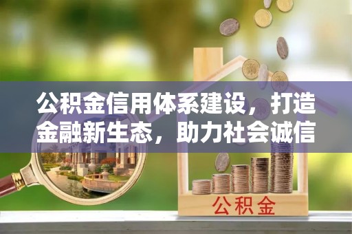 金溪公积金信用体系建设，打造金融新生态，助力社会诚信发展