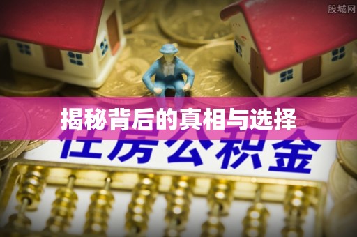 金溪揭秘背后的真相与选择