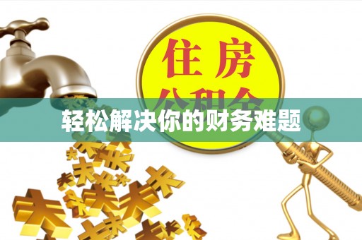 金溪轻松解决你的财务难题