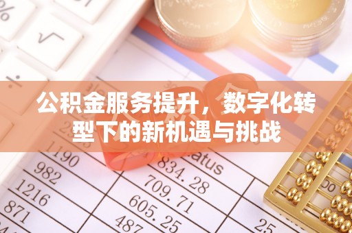 金溪公积金服务提升，数字化转型下的新机遇与挑战