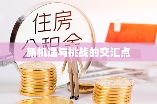 金溪新机遇与挑战的交汇点