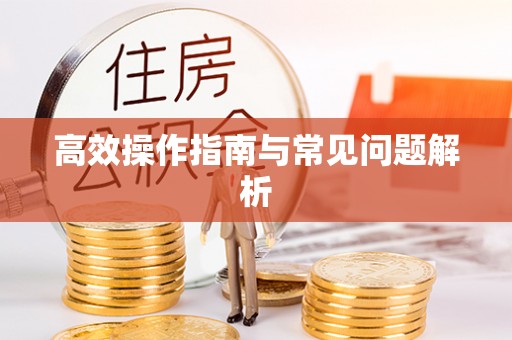 金溪高效操作指南与常见问题解析