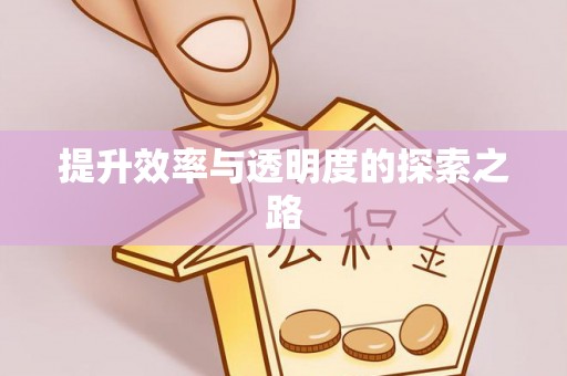 金溪提升效率与透明度的探索之路