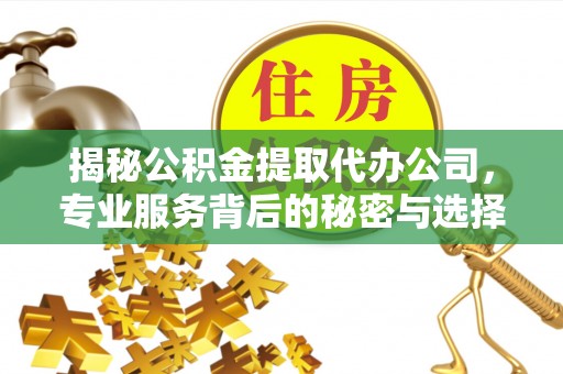 金溪揭秘公积金提取代办公司，专业服务背后的秘密与选择指南