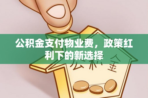 金溪公积金支付物业费，政策红利下的新选择