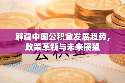 金溪解读中国公积金发展趋势，政策革新与未来展望
