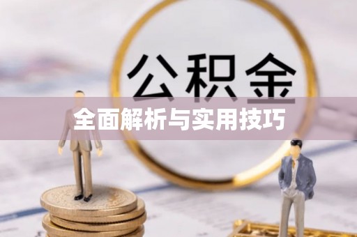 金溪全面解析与实用技巧