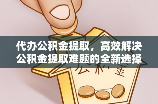 金溪代办公积金提取，高效解决公积金提取难题的全新选择