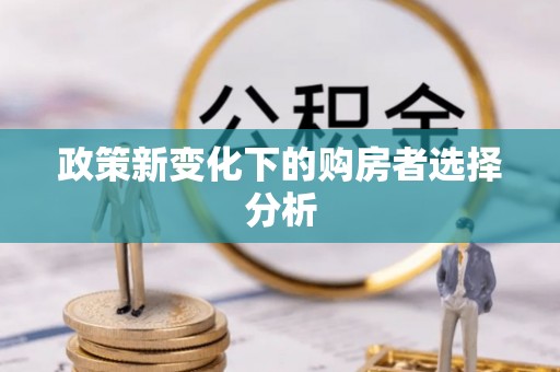 金溪政策新变化下的购房者选择分析