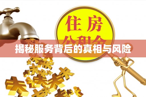 金溪揭秘服务背后的真相与风险