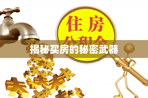 金溪揭秘买房的秘密武器