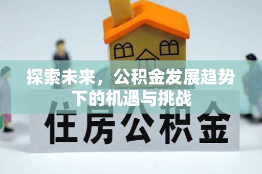 金溪探索未来，公积金发展趋势下的机遇与挑战