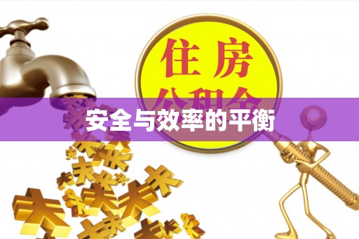 金溪安全与效率的平衡