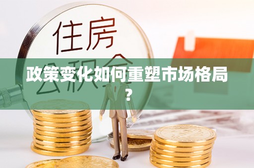 金溪政策变化如何重塑市场格局？