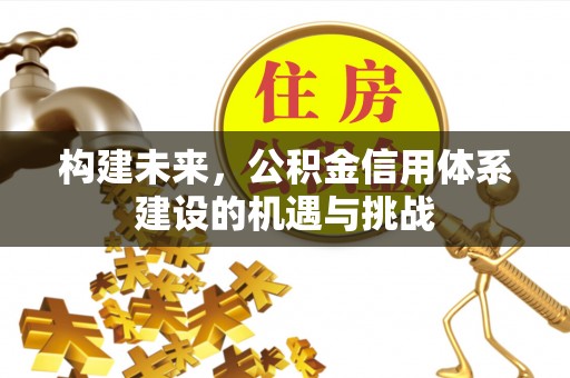 金溪构建未来，公积金信用体系建设的机遇与挑战