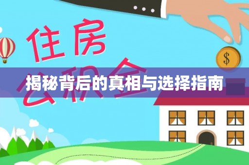 金溪揭秘背后的真相与选择指南