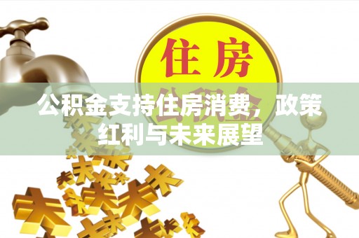 金溪公积金支持住房消费，政策红利与未来展望