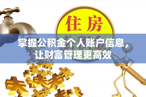 金溪掌握公积金个人账户信息，让财富管理更高效