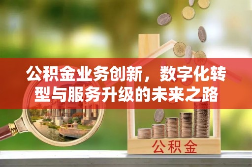 金溪公积金业务创新，数字化转型与服务升级的未来之路
