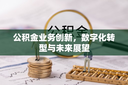 金溪公积金业务创新，数字化转型与未来展望