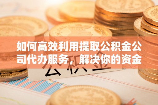 金溪如何高效利用提取公积金公司代办服务，解决你的资金难题