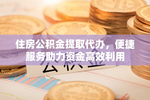 金溪住房公积金提取代办，便捷服务助力资金高效利用