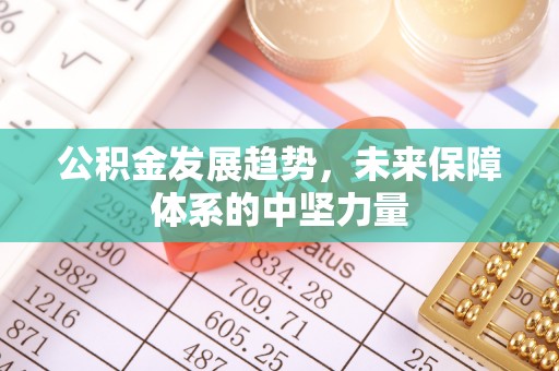 金溪公积金发展趋势，未来保障体系的中坚力量